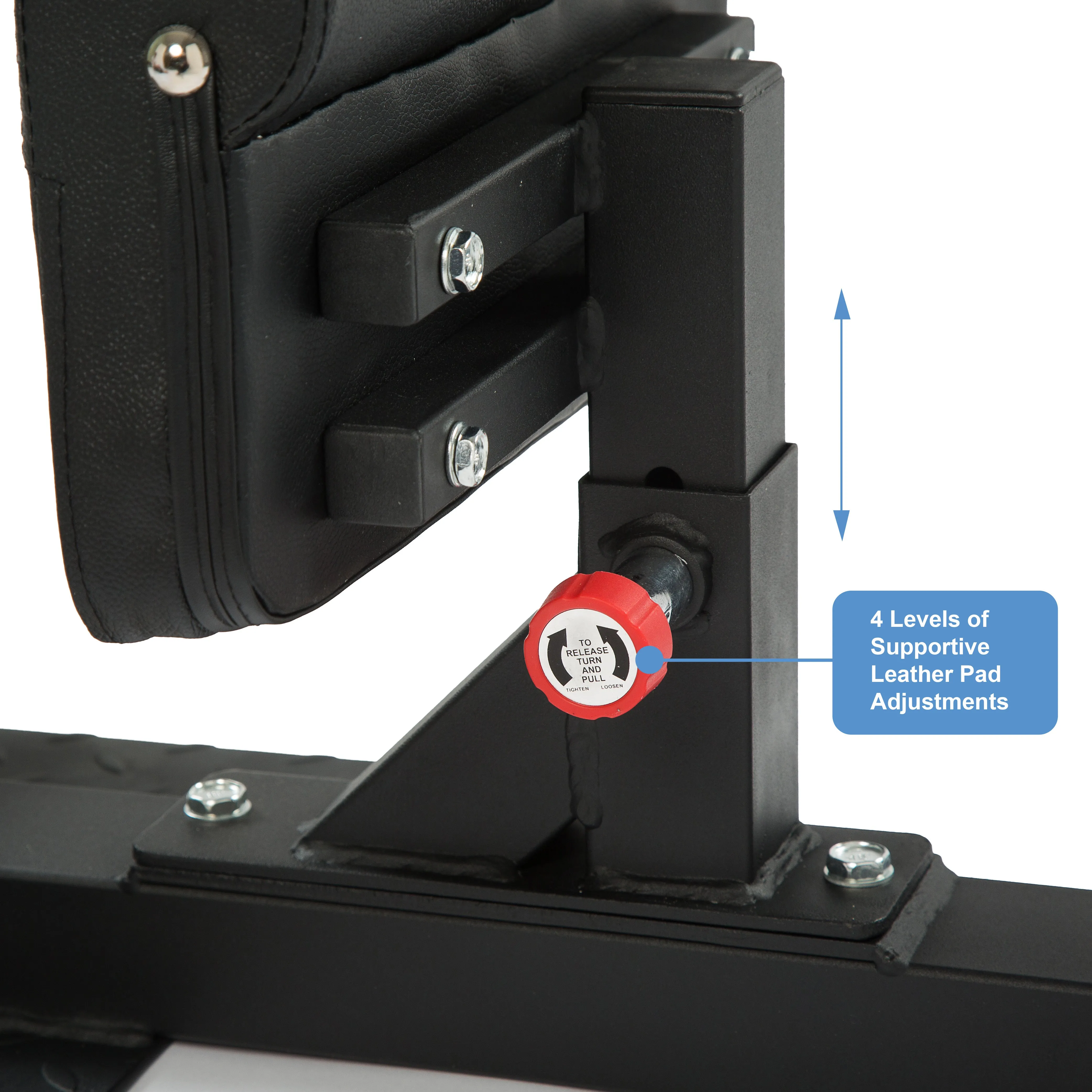 Adjustable Sissy Squat Machine