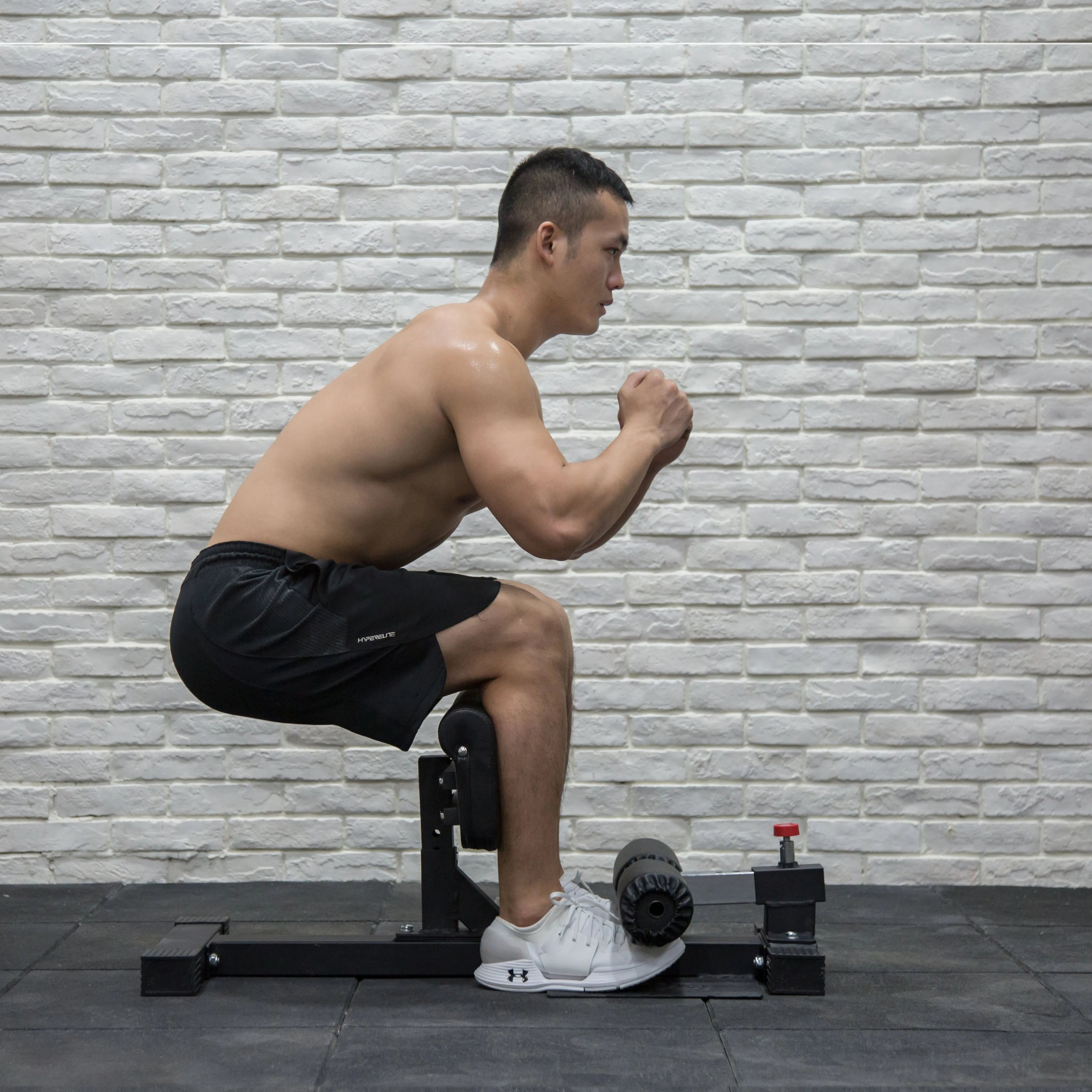 Adjustable Sissy Squat Machine