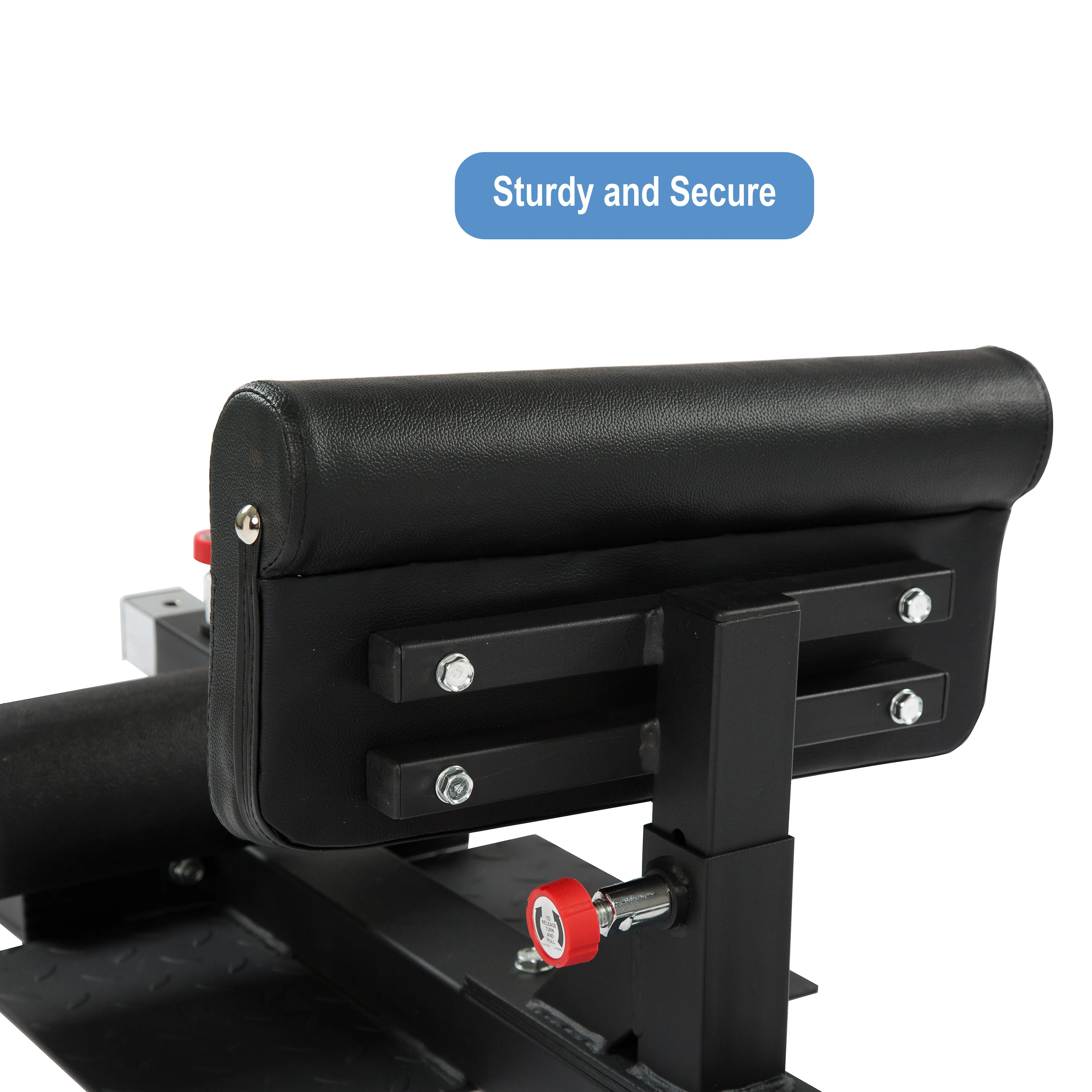 Adjustable Sissy Squat Machine