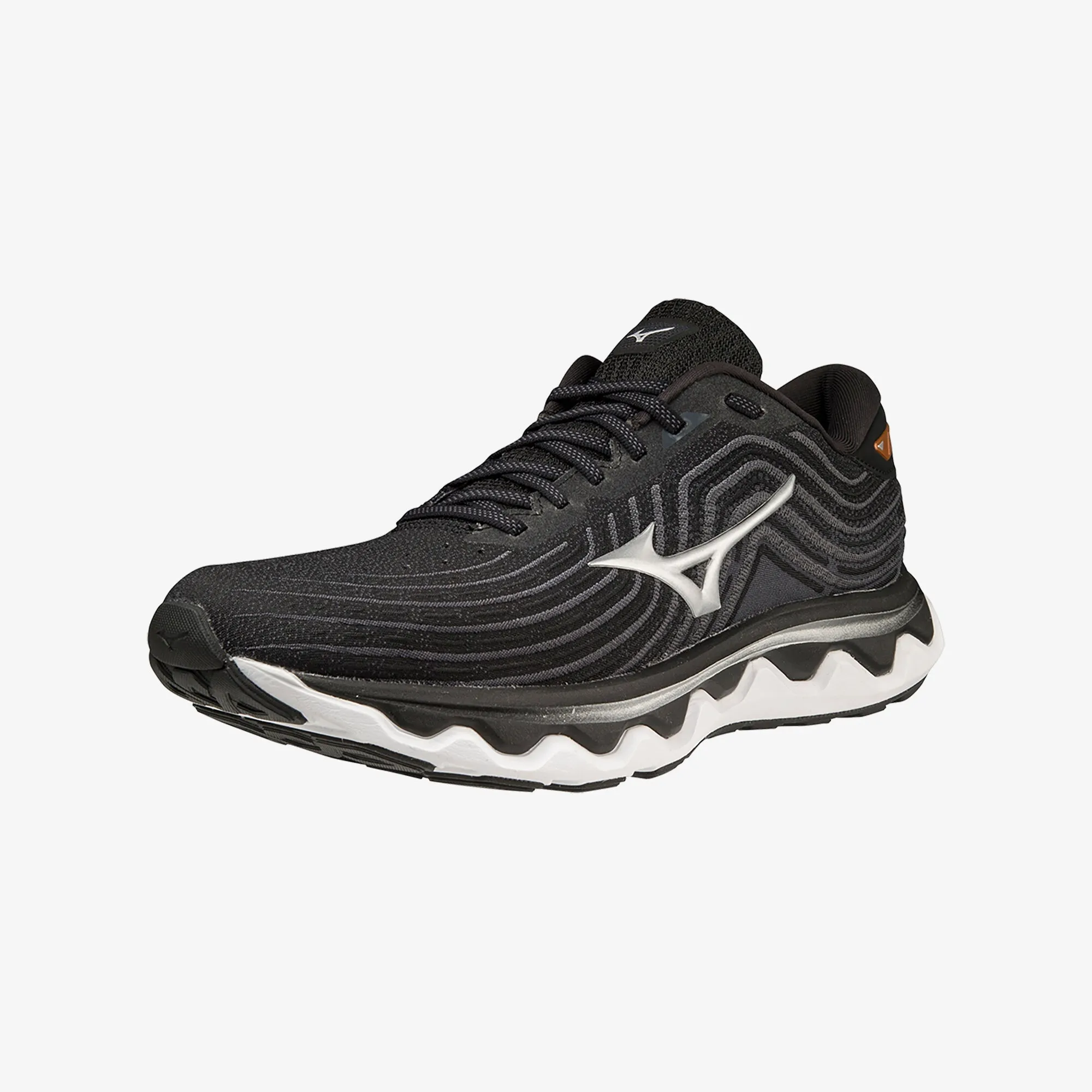 WAVE HORIZON 6