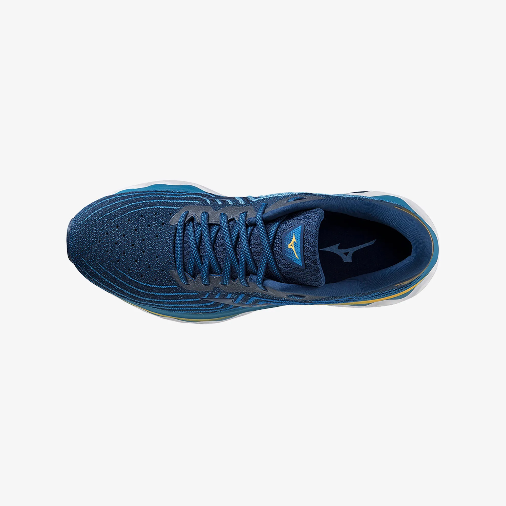 WAVE HORIZON 6