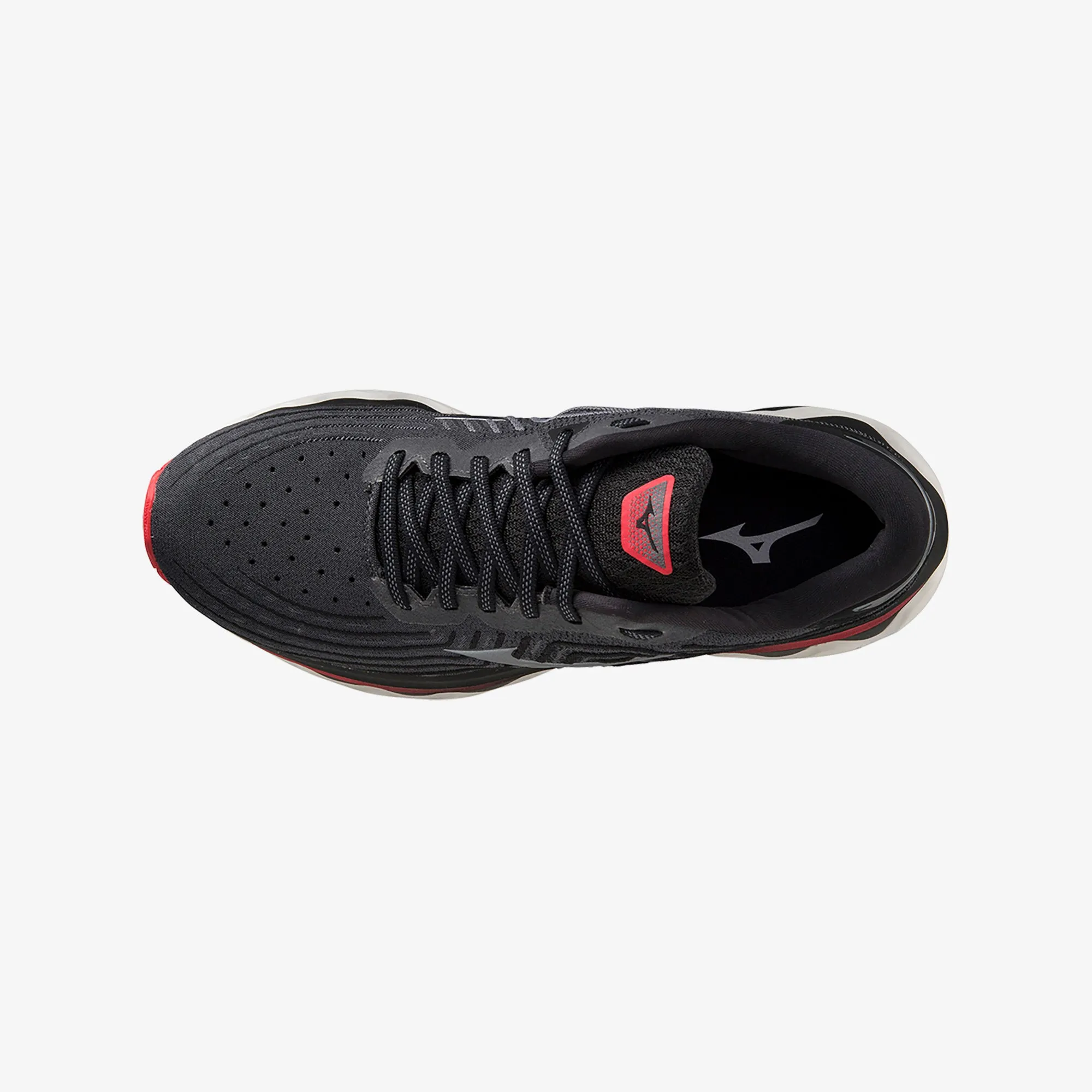WAVE HORIZON 6