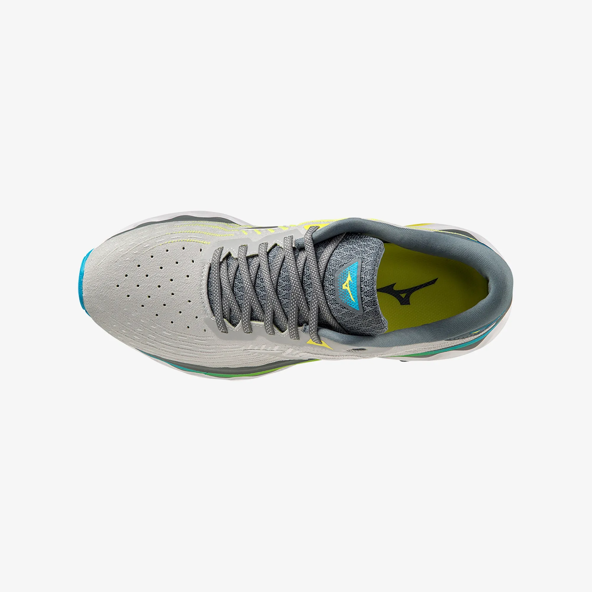 WAVE HORIZON 6