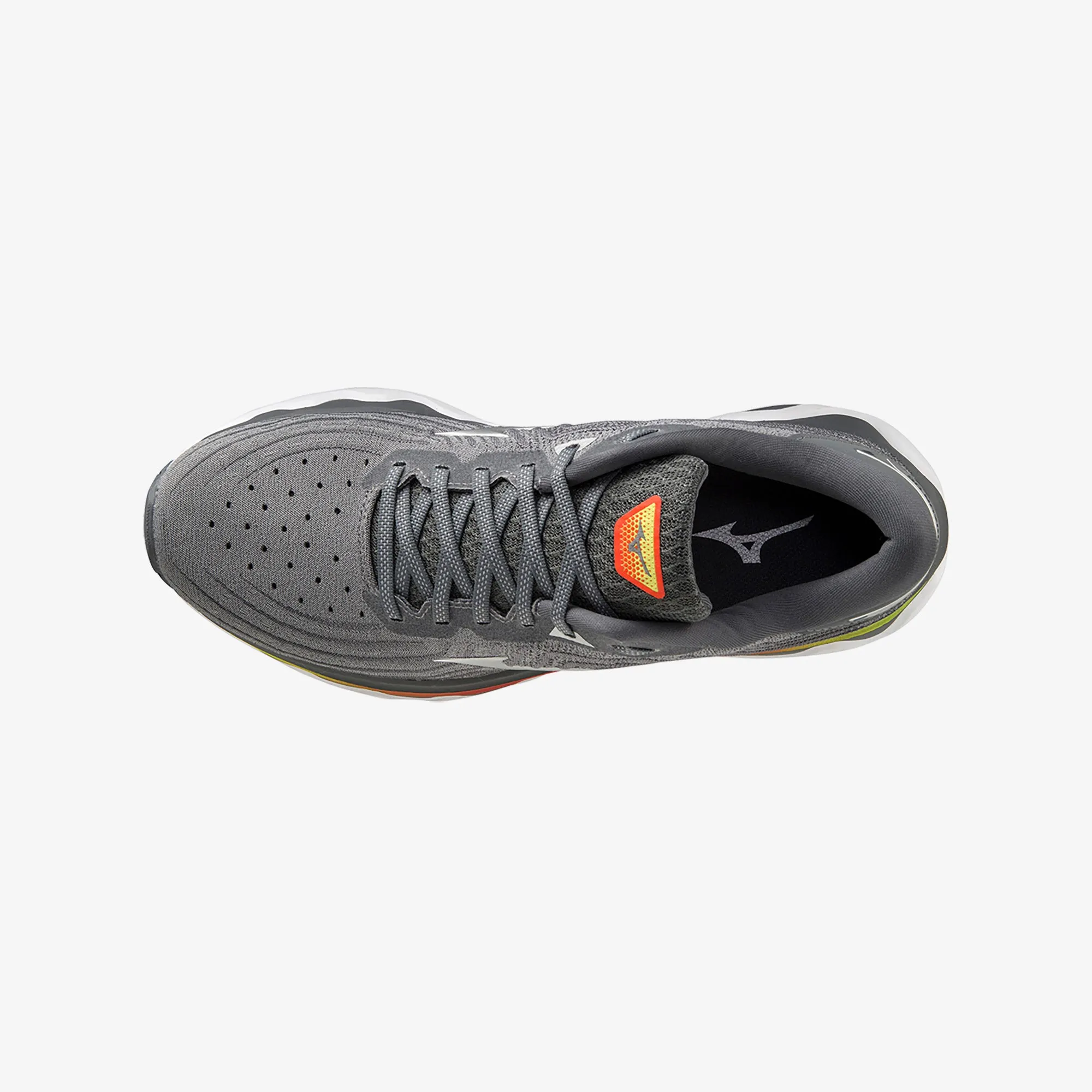 WAVE HORIZON 6