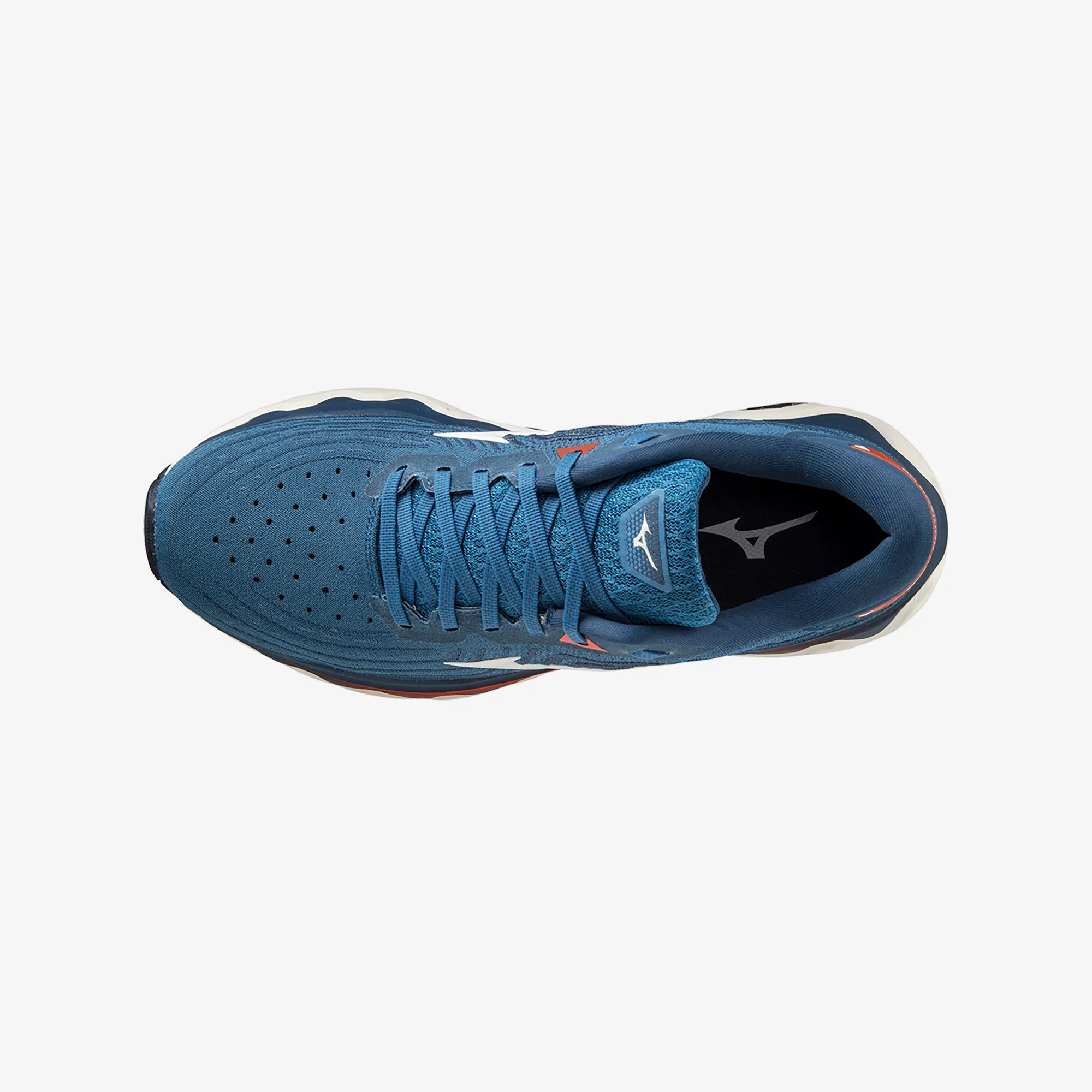 WAVE HORIZON 6